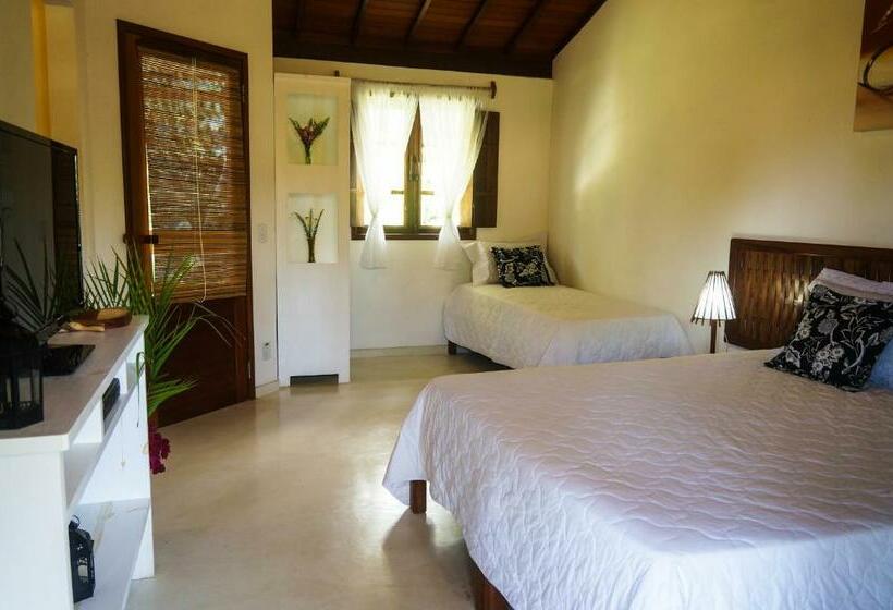 经典套房, Pousada Samambaia