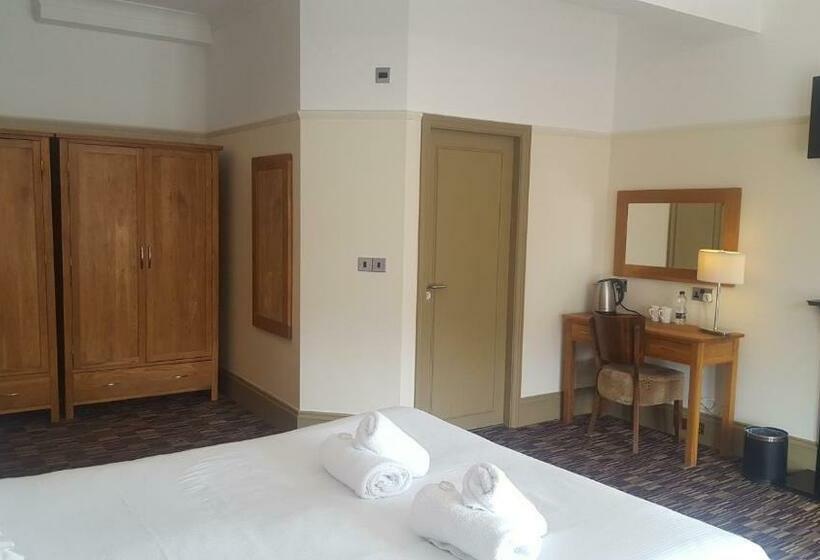 高级大房间, The Dolphin