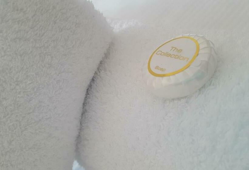 高级大房间, The Dolphin