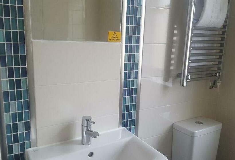 高级大房间, The Dolphin