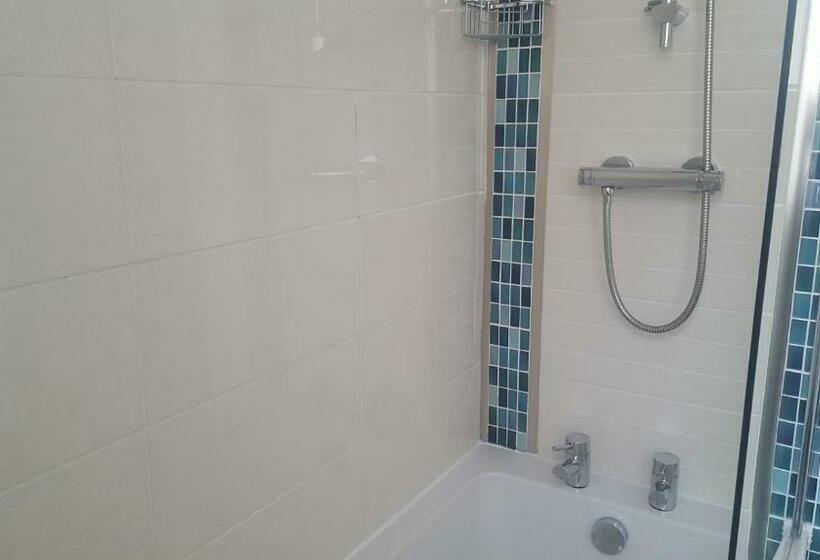 高级大房间, The Dolphin