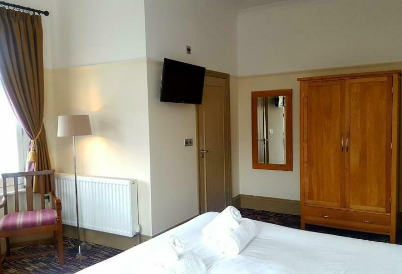 高级大房间, The Dolphin