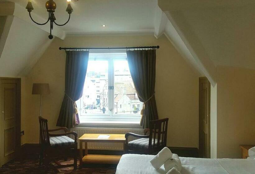 高级大房间, The Dolphin