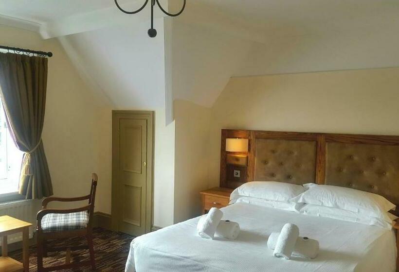 高级大房间, The Dolphin