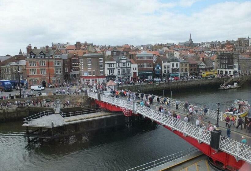 高级大房间, The Dolphin