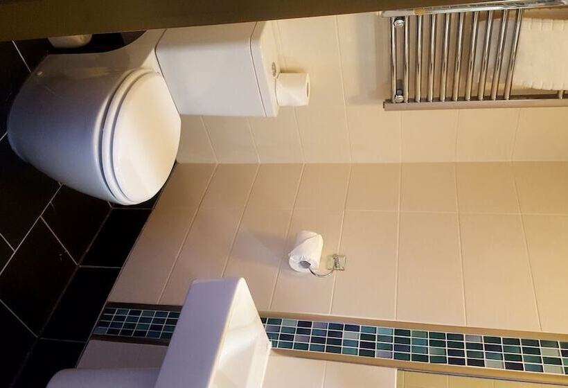 标准间, The Dolphin