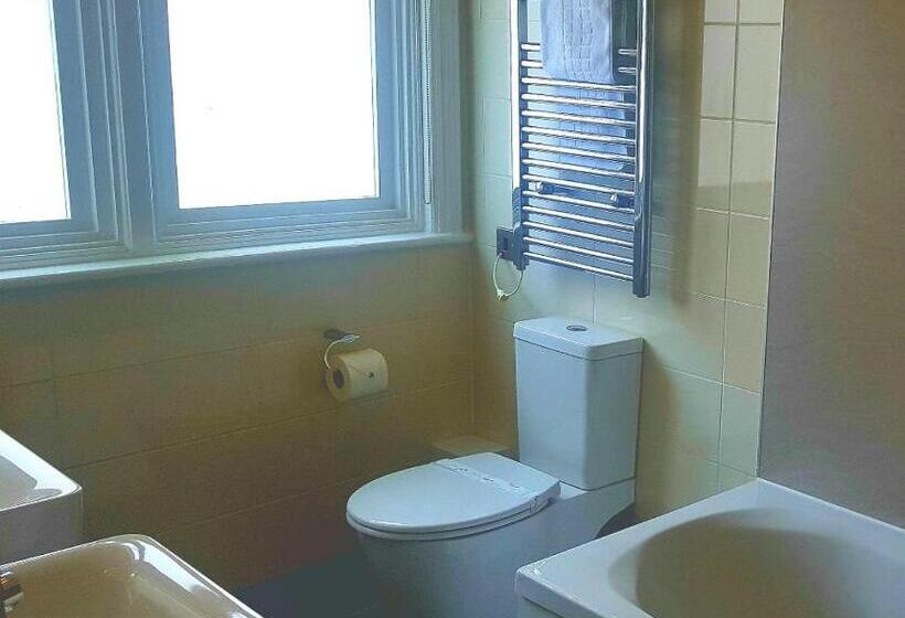 高级家庭房间, The Dolphin