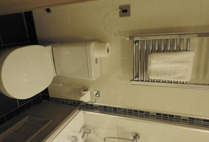 带大床的豪华间, The Dolphin