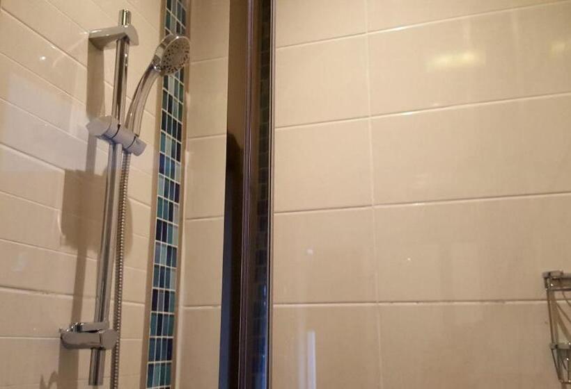 带大床的豪华间, The Dolphin