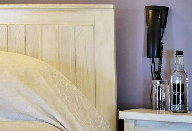 マウンテンビュースタンダードルーム, The Hand At Llanarmon