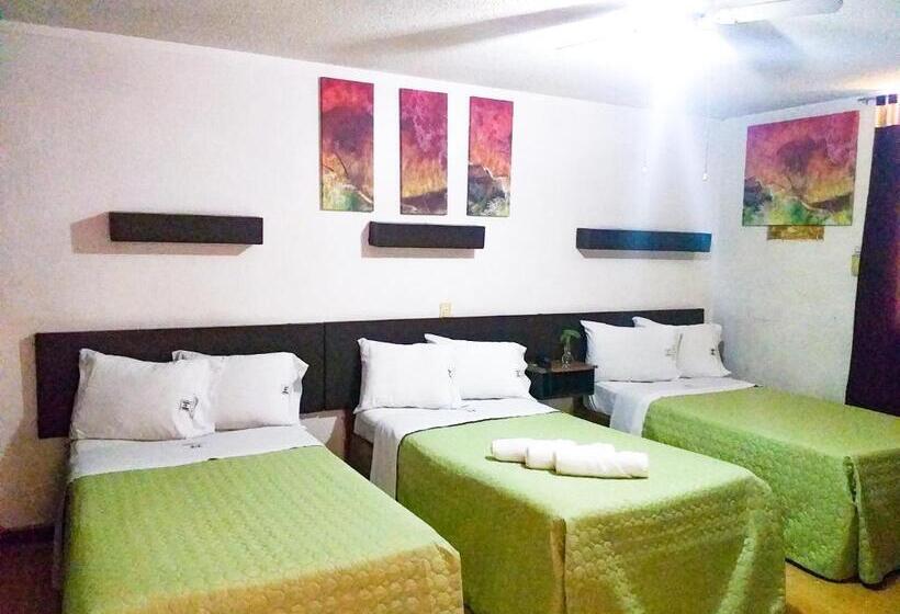 חדר סטנדרט לשלושה, Trevi