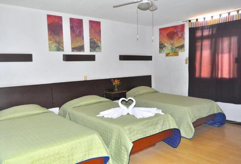 חדר סטנדרט לשלושה, Trevi