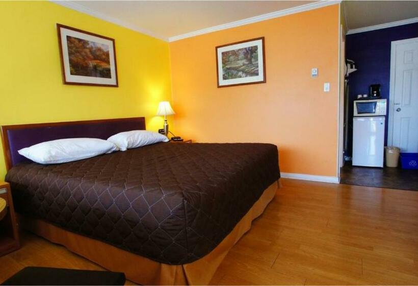 Standard Værelse King Size Seng, Harmony Inn