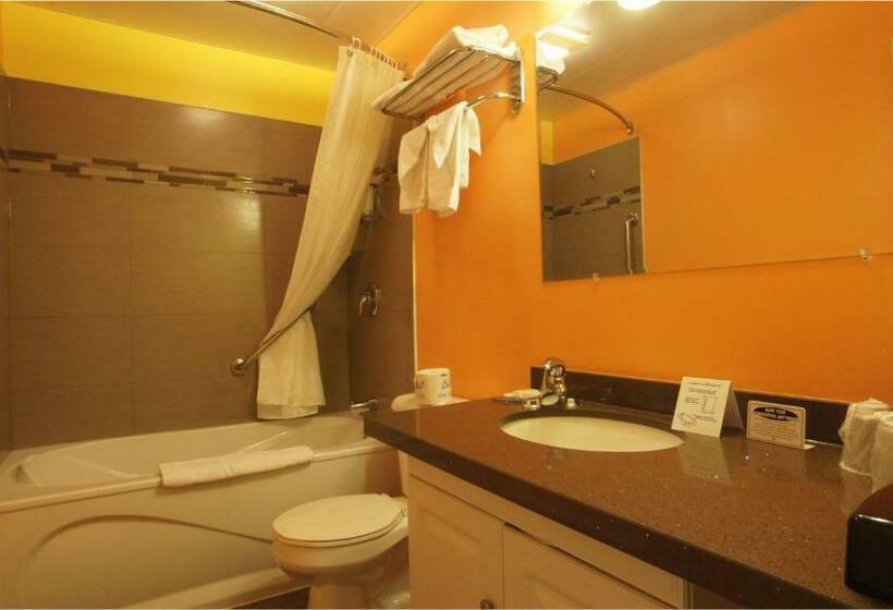 Standard Værelse King Size Seng, Harmony Inn