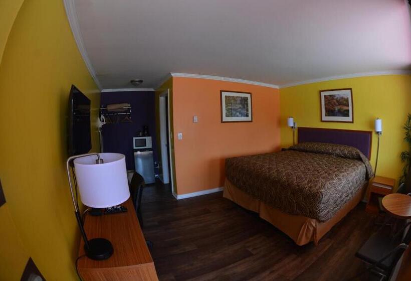 Standard Værelse King Size Seng, Harmony Inn