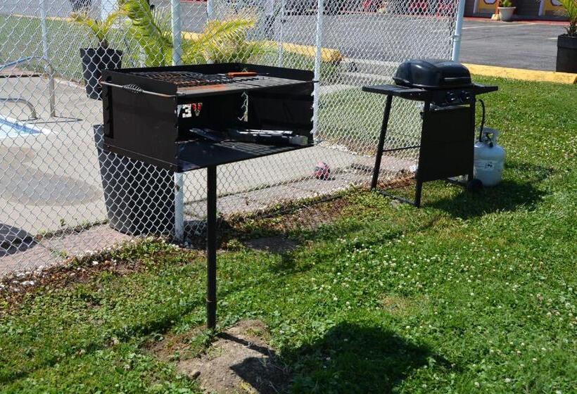 Standard Værelse King Size Seng, Harmony Inn