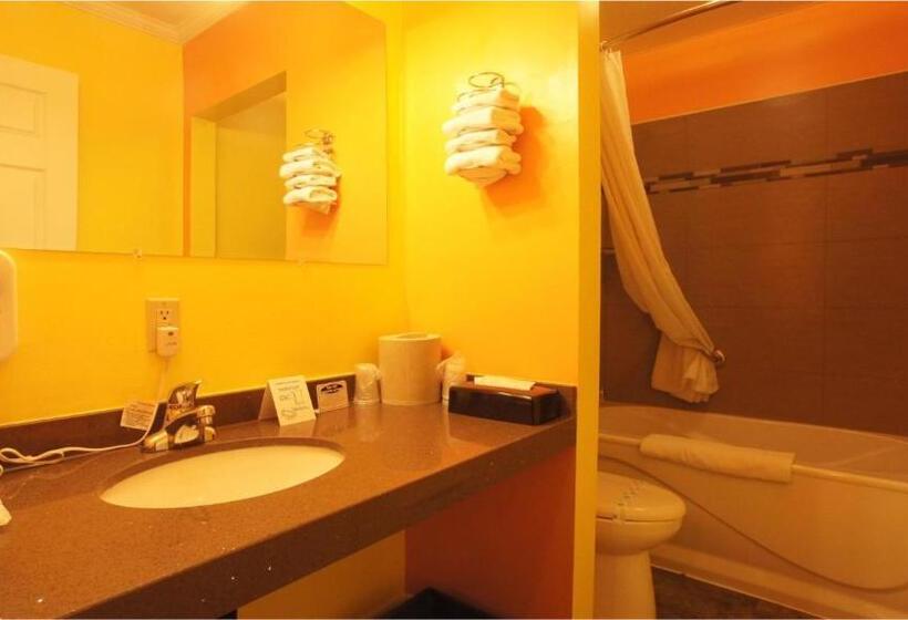 Standard Værelse 2 Dobbeltsenge, Harmony Inn