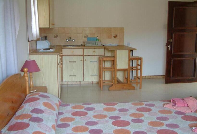 스탠다드 스튜디오, Pelekanos Apartments