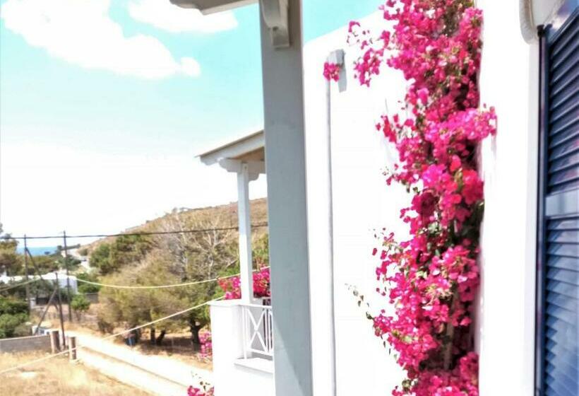 جناح عائلي, Allegria Family