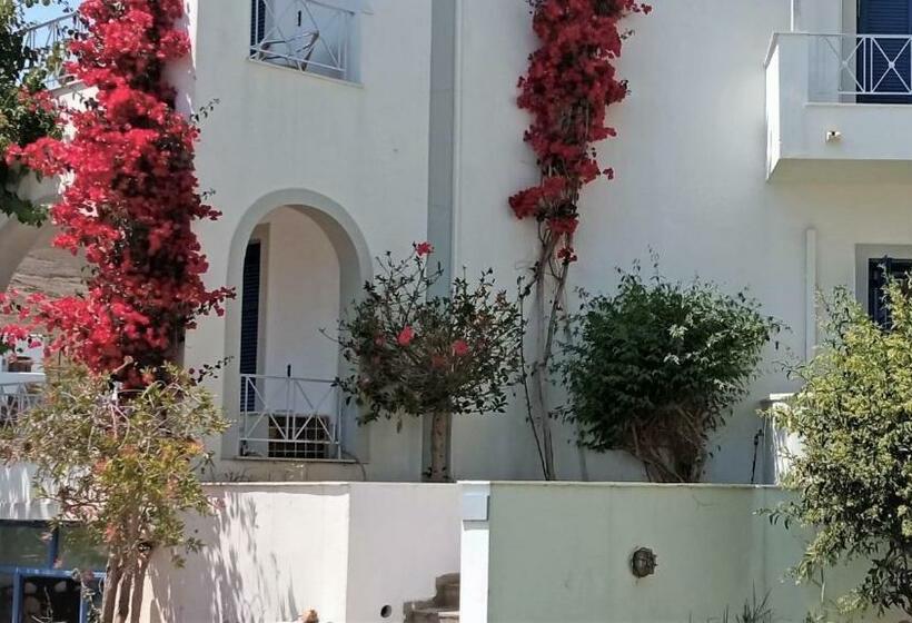 جناح عائلي, Allegria Family