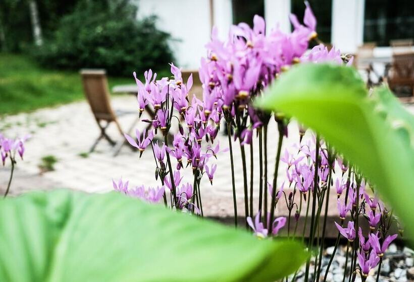 스탠다드 싱글 룸, Medlefors Hotell & Konferens