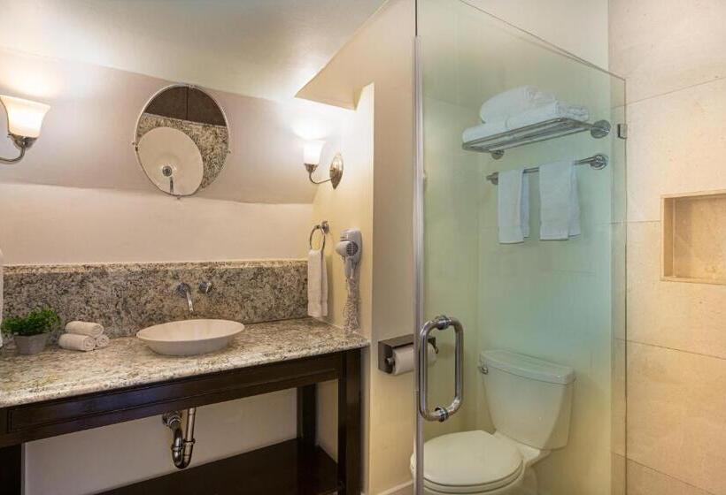 スイート, Nyah   Adult Exclusive