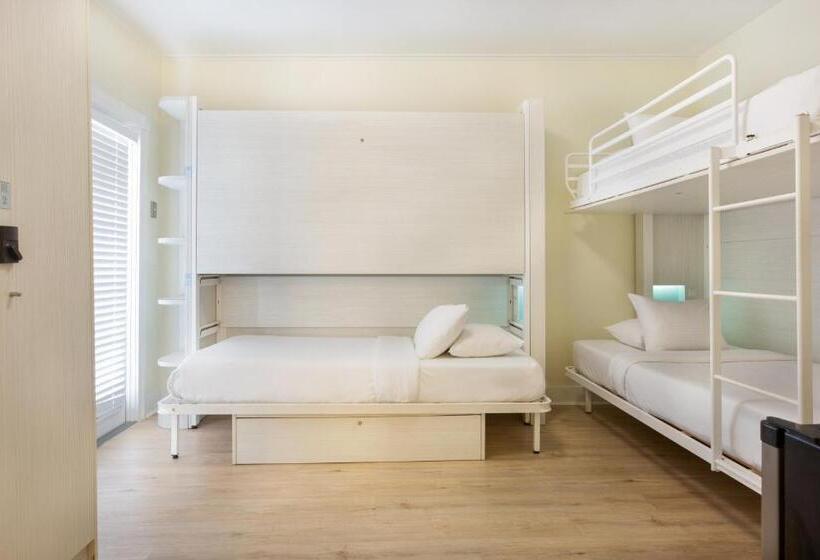 スタンダードトリプルルーム, Nyah   Adult Exclusive