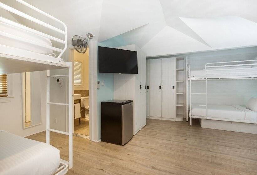 スタンダードルーム, Nyah   Adult Exclusive