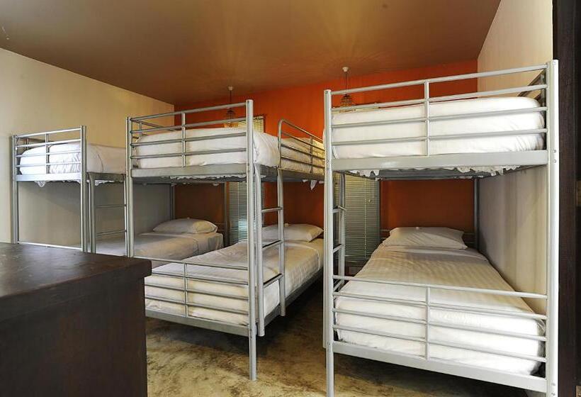 ルームシェアのワンベッド, The Village House