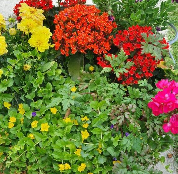 スタンダードルーム, Stokkegaarden S Bnb & Apartments