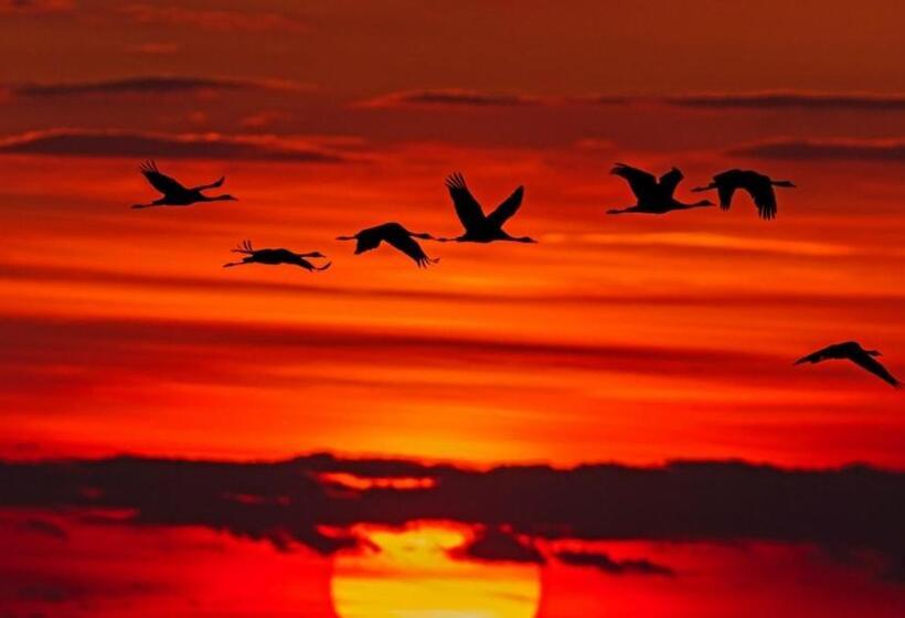 1ベッドルームアパートメント, Stokkegaarden S Bnb & Apartments