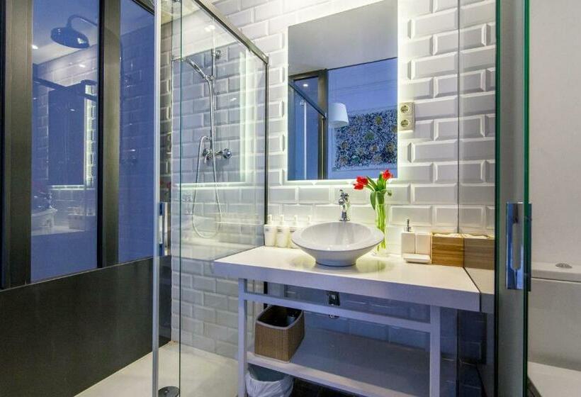 اتاق سوپریور, Cami Gallery Barcelona