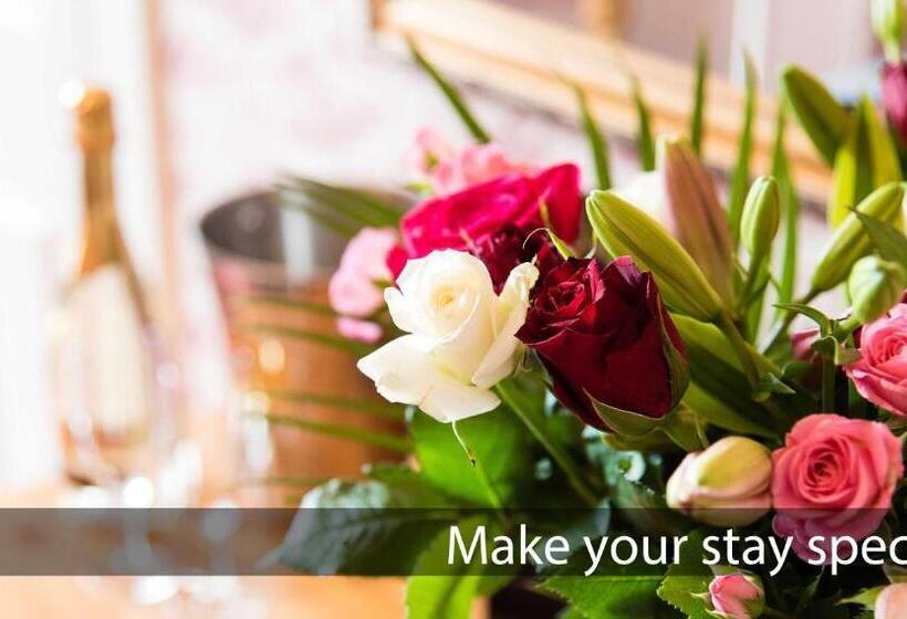 スタンダードシングルルーム, Mckays