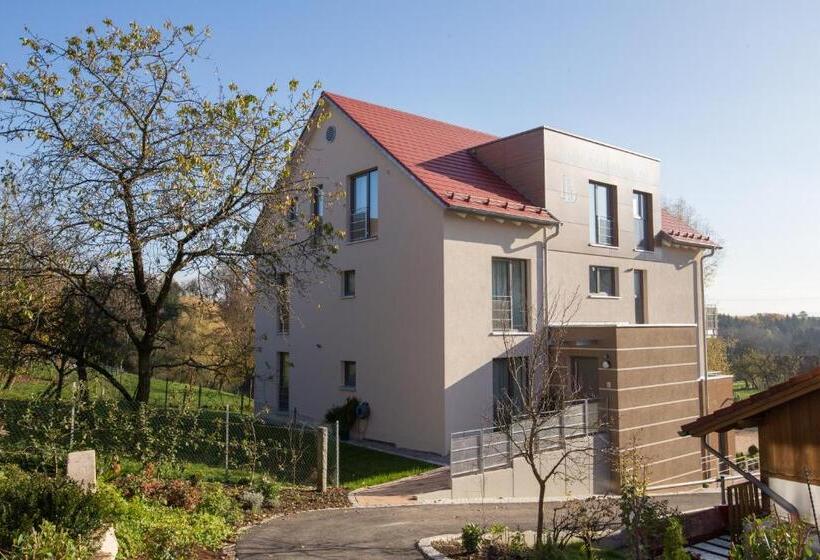 デラックスルーム, Sonnenhalde Landgasthof Bieg