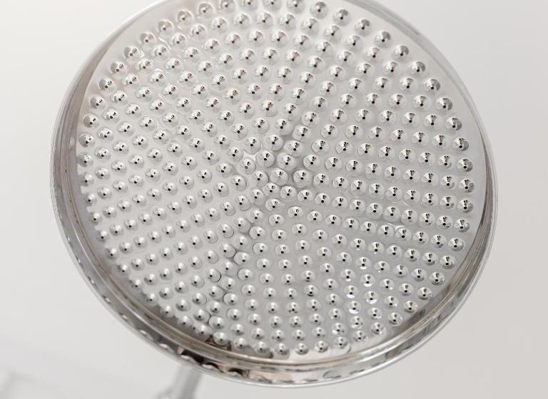 豪华房间, The Assembly House