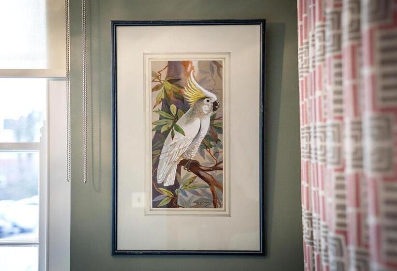 带城市景观的套间, The Assembly House