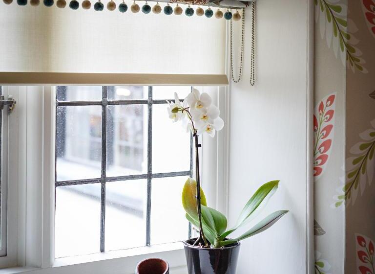 标准间, The Assembly House