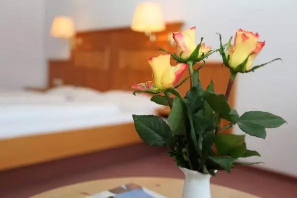 Standard-huone, Trip Inn Landhotel Krone