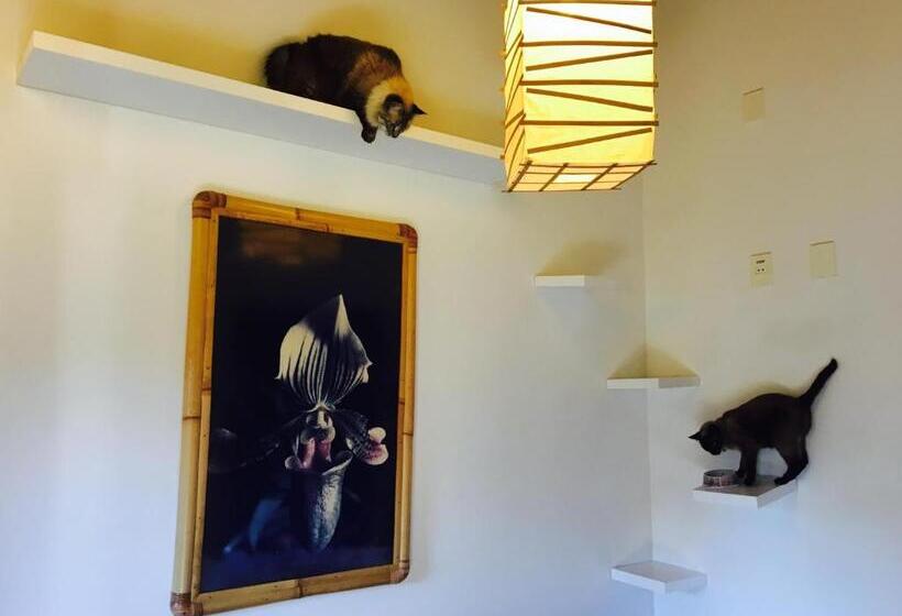 スタンダードスタジオ, Pousada Pura Vida Maresias