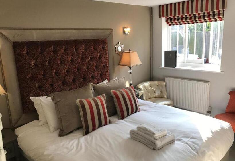 Quarto Familiar, The Dog At Wingham