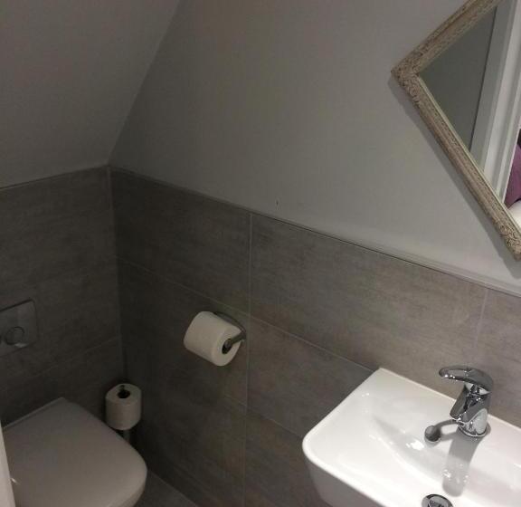 Quarto Estandar, The Dog At Wingham