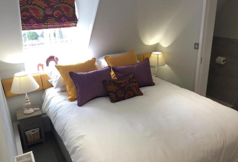 Quarto Estandar, The Dog At Wingham