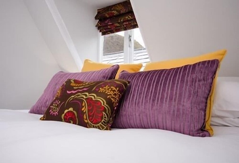 Quarto Estandar, The Dog At Wingham