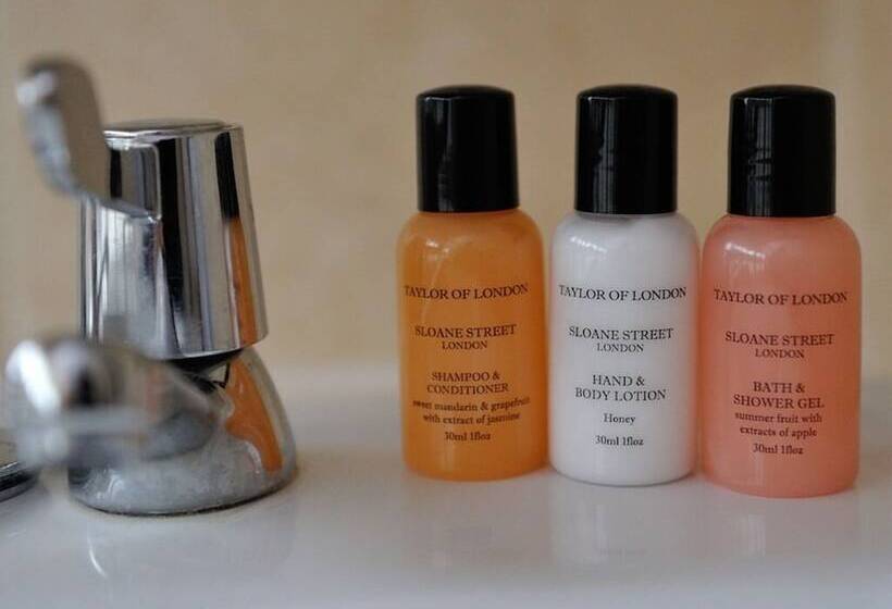 Quarto Estandar, The Dog At Wingham