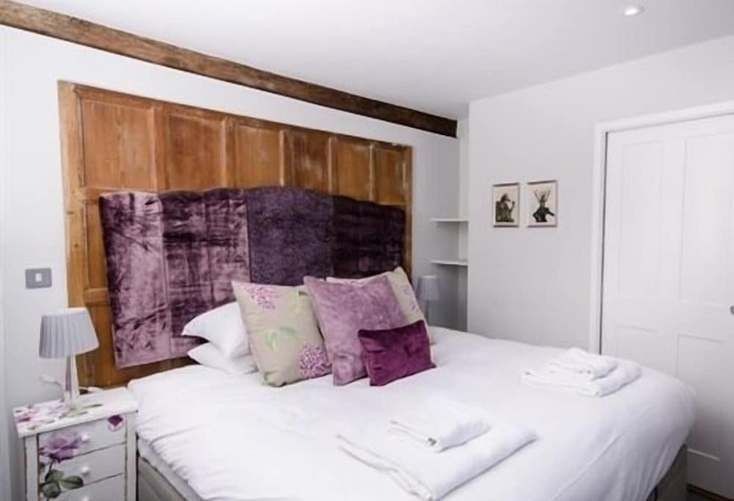 Quarto Estandar, The Dog At Wingham