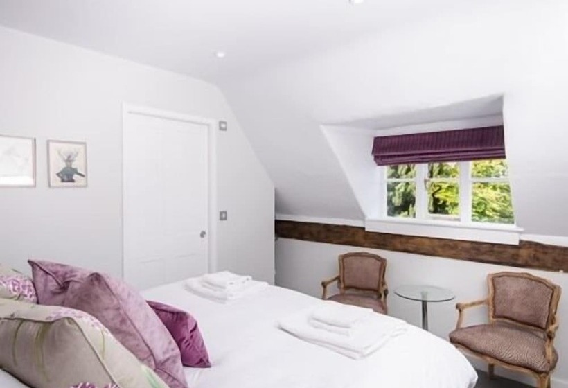 Quarto Estandar, The Dog At Wingham