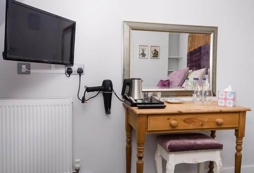 Quarto Estandar, The Dog At Wingham