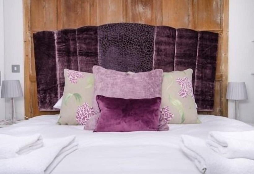 Quarto Estandar, The Dog At Wingham