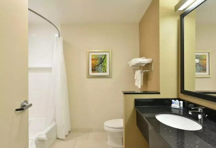 スタンダードルーム, Fairfield Inn & Suites By Marriott Eau Claire/chippewa Falls