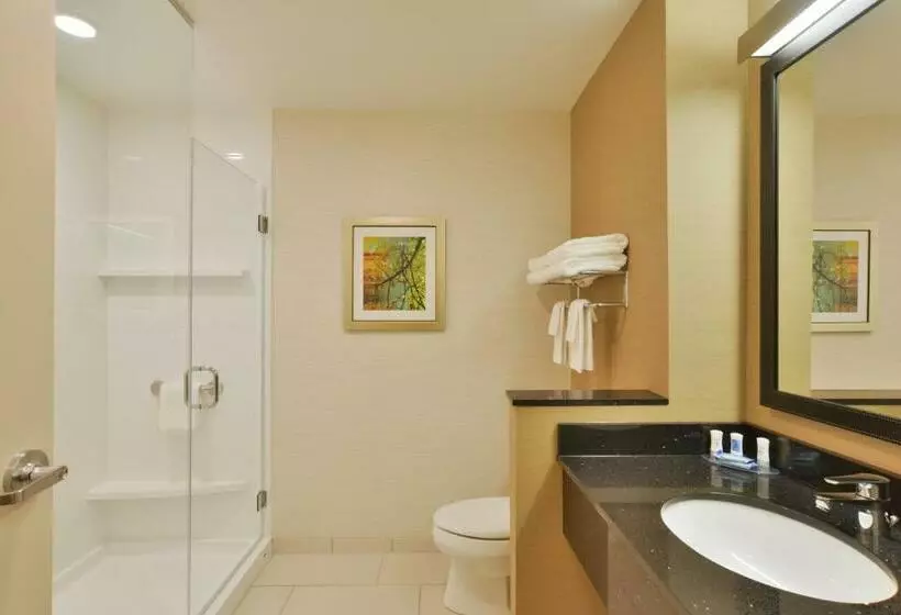 キングサイズベッドのスイートルーム, Fairfield Inn & Suites By Marriott Eau Claire/chippewa Falls